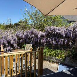 Gower Coast Holiday Cottage
